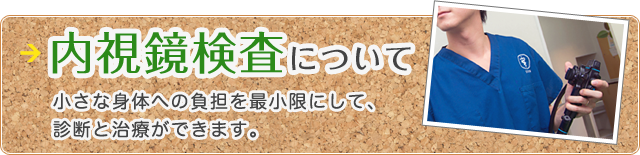 内視鏡検査について