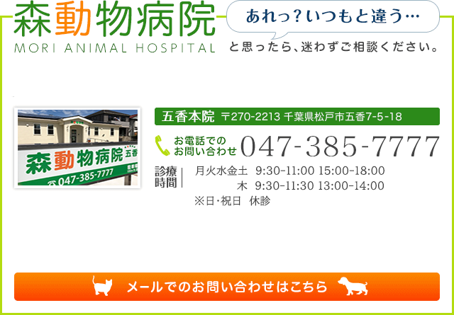 森動物病院　　五香本院：047-385-7777　稔台分院：047-387-4086