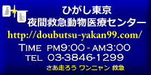 ひがし東京 夜間救急動物医療センター